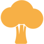 barcoli icon