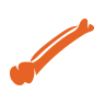 orange bone icon
