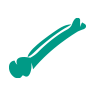 Bone Health
