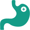 teal stomach icon